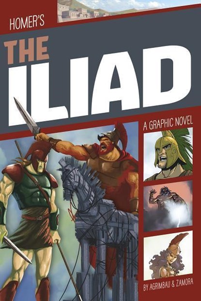 The Iliad, Diego Agrimbau - Paperback - 9781496555847