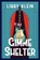 Gimme Shelter, Libby Klein - Gebonden - 9781496748584
