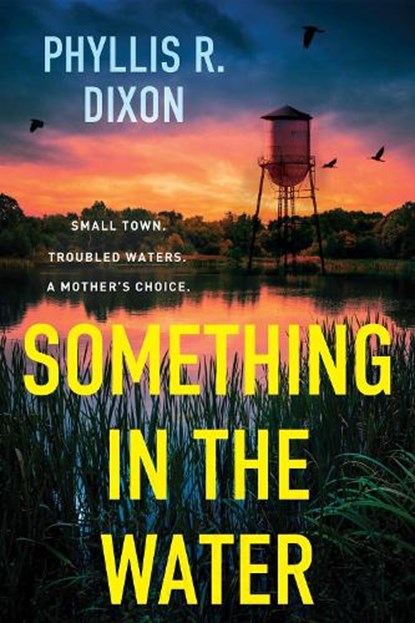 Something in the Water, Phyllis R. Dixon - Paperback - 9781496754196