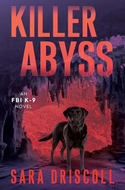 Killer Abyss, Sara Driscoll - Gebonden - 9781496756336