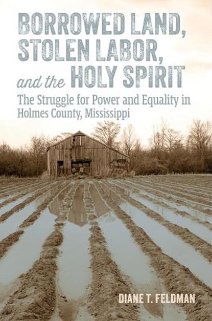 Borrowed Land, Stolen Labor, and the Holy Spirit, Diane T. Feldman - Gebonden - 9781496857477
