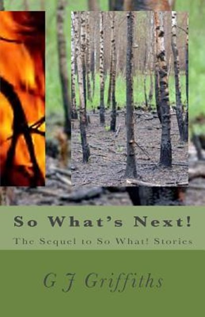 So What's Next!, GRIFFITHS,  G. J. - Paperback - 9781497423992