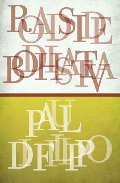 Roadside Bodhisattva, Paul Di Filippo - Ebook - 9781497626935