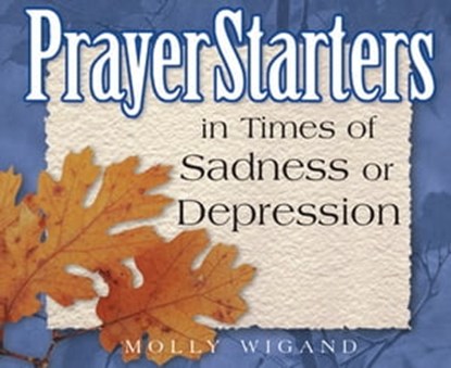 PrayerStarters in Times of Sadness or Depression, Molly Wigand - Ebook - 9781497699663