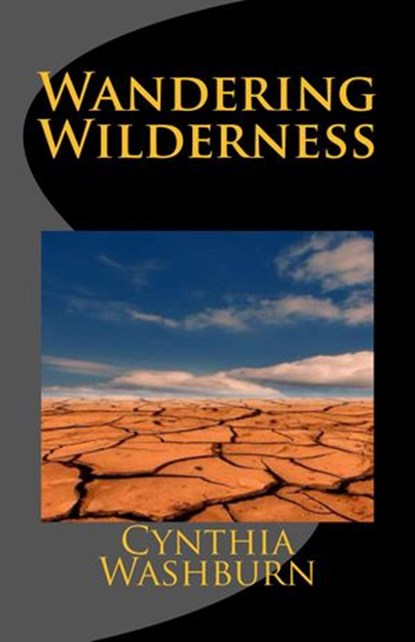 Wandering Wilderness, Cynthia Washburn - Ebook - 9781497737167