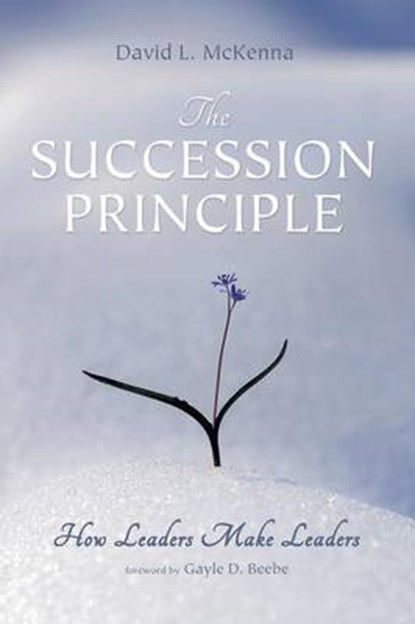 The Succession Principle, MCKENNA,  David L. - Paperback - 9781498204798