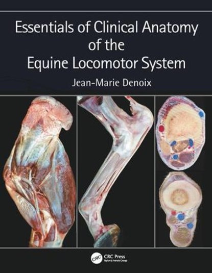 Essentials of Clinical Anatomy of the Equine Locomotor System, Jean-Marie (CIRALE-Hippolia Denoix - Gebonden - 9781498754415