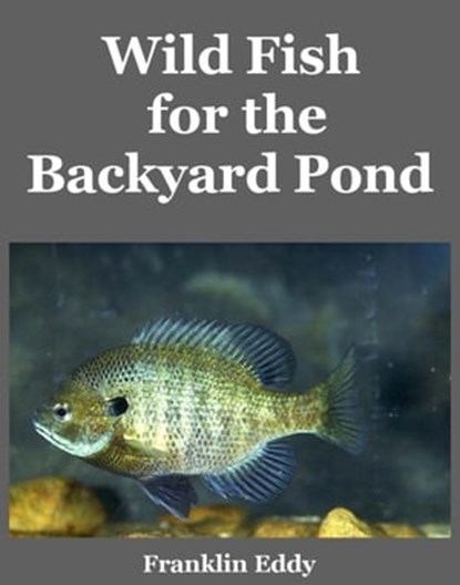 Wild Fish for the Backyard Pond, Franklin Eddy - Ebook - 9781498913850