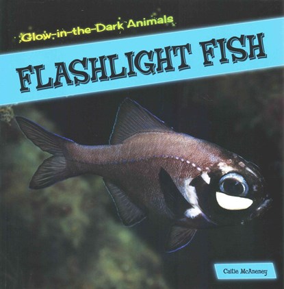 Flashlight Fish, Caitie McAneney - Paperback - 9781499401219