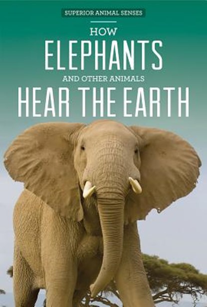 How Elephants and Other Animals Hear the Earth, Caitie McAneney - Paperback - 9781499409918