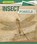 Insect Fossils, LINDE,  Barbara M. - Paperback - 9781499427448
