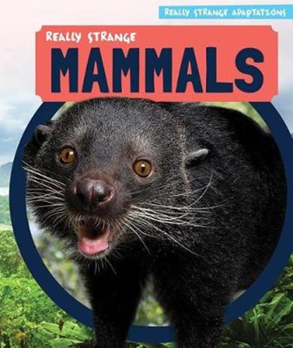 Really Strange Mammals, LEVY,  Janey - Paperback - 9781499427899