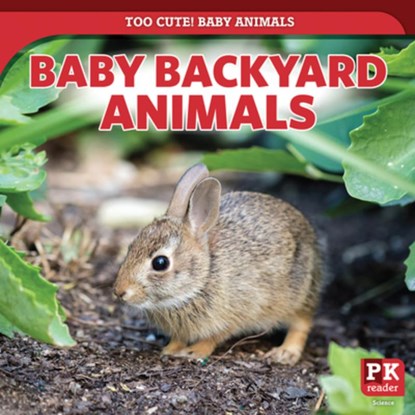 Baby Backyard Animals, Rachael Morlock - Paperback - 9781499445138