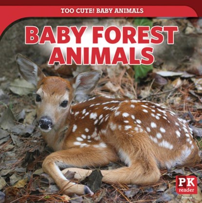 Baby Forest Animals, Rachael Morlock - Paperback - 9781499445220