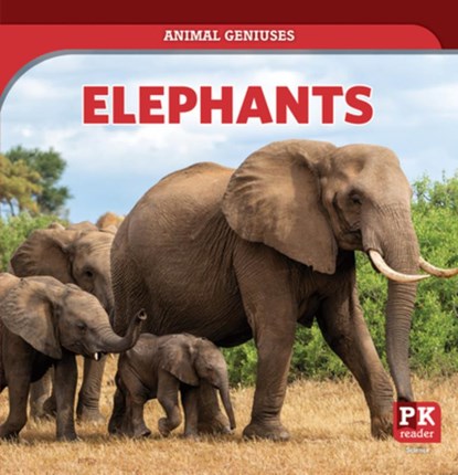 Elephants, Theresa Emminizer - Gebonden - 9781499451894