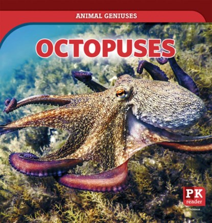 Octopuses, Theresa Emminizer - Gebonden - 9781499451924