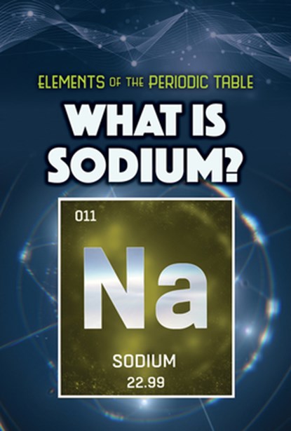 What Is Sodium?, Kathleen A. Klatte - Paperback - 9781499478518