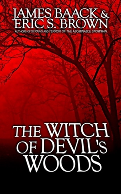 The Witch of Devil's Woods, Eric S. Brown - Paperback - 9781499711790
