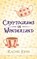 Cryptograms in Wonderland, Rachel John - Paperback - 9781499731477