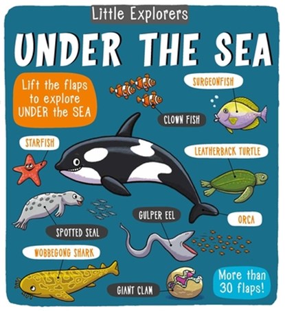 Little Explorers: Under the Sea, Little Bee Books - Gebonden - 9781499806953