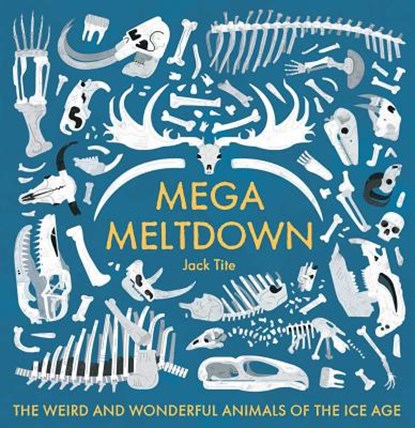 Mega Meltdown, Jack Tite - Gebonden - 9781499807523