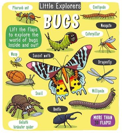 Little Explorers: Bugs, Little Bee Books - Gebonden - 9781499808872