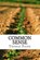 Common Sense, PAINE,  Thomas - Paperback - 9781501076411
