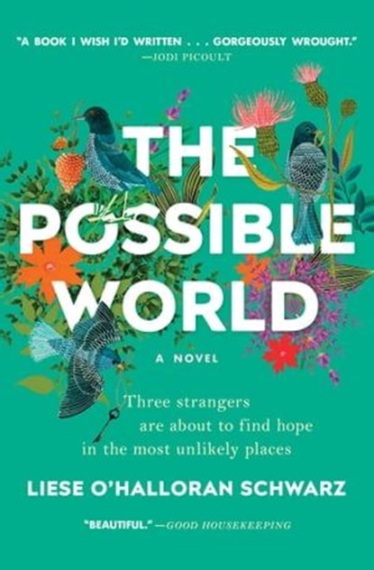The Possible World, Liese O'Halloran Schwarz - Ebook - 9781501166167