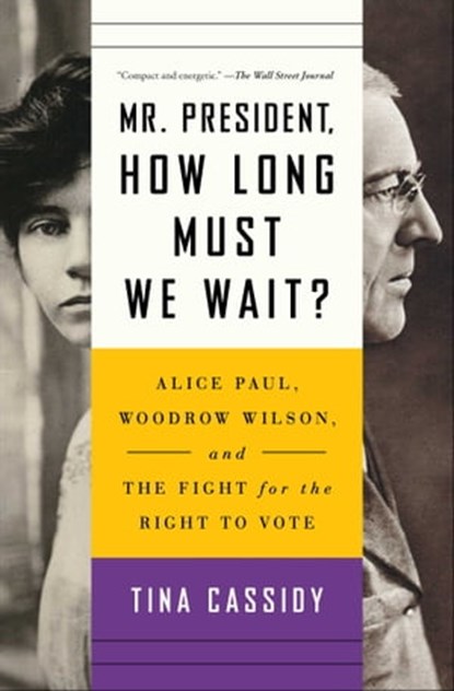 Mr. President, How Long Must We Wait?, Tina Cassidy - Ebook - 9781501177781