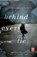 Behind Every Lie, Christina McDonald - Paperback - 9781501184031