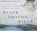 Black Dragon River, ZIEGLER,  Dominic - AVM - 9781501299407