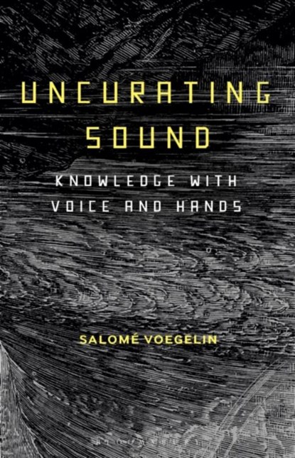 Uncurating Sound, Dr Salome (Professor Voegelin - Paperback - 9781501345401