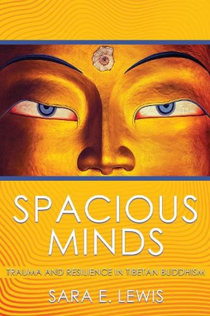 Spacious Minds, Sara E. Lewis - Paperback - 9781501715358
