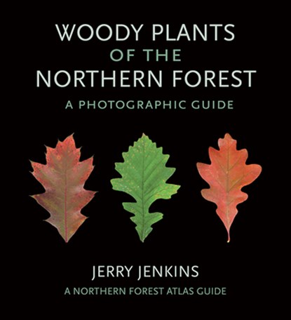 Woody Plants of the Northern Forest, Jerry Jenkins - Paperback - 9781501719684