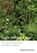 Light Without Heat, David Carroll Simon - Gebonden - 9781501723407