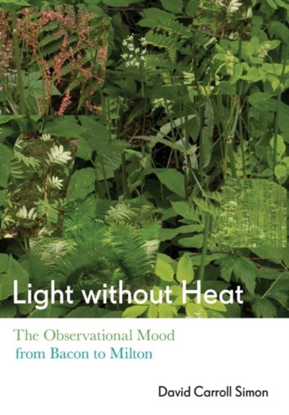 Light Without Heat, David Carroll Simon - Gebonden - 9781501723407