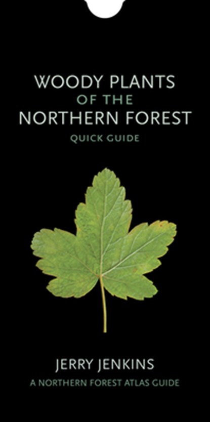 Woody Plants of the Northern Forest: Quick Guide, Jerry Jenkins - Paperback - 9781501724350