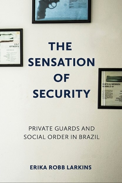 The Sensation of Security, Erika Robb Larkins - Paperback - 9781501769740