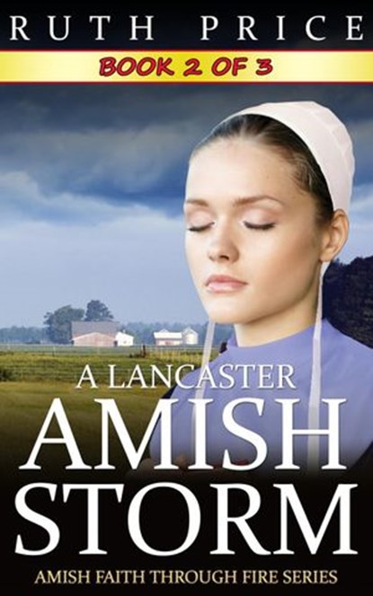 A Lancaster Amish Storm - Book 2, Ruth Price - Ebook - 9781502232458
