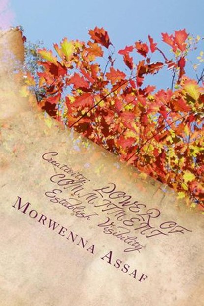 Creativity: Establish Visibility, Morwenna Assaf - Ebook - 9781502285751
