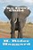 The Ivory Child, HAGGARD,  H. Rider - Paperback - 9781502542168