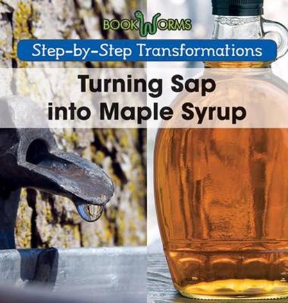 Turning SAP Into Maple Syrup, Amy Hayes - Paperback - 9781502604576