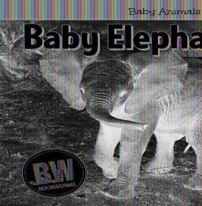Baby Elephants, Nicole Horning - Paperback - 9781502655974