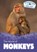 The World of Monkeys, Anna Collins - Gebonden - 9781502675194