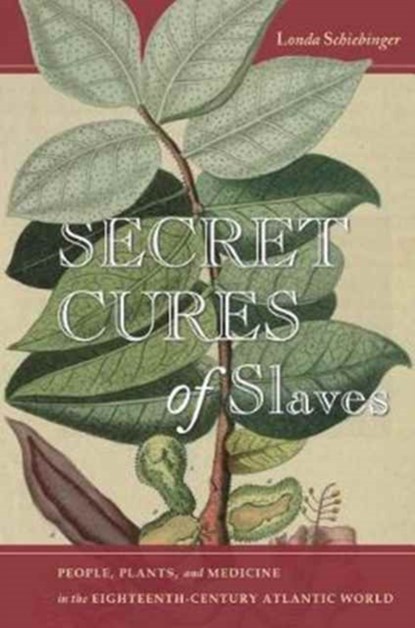 Secret Cures of Slaves, Londa Schiebinger - Paperback - 9781503602915