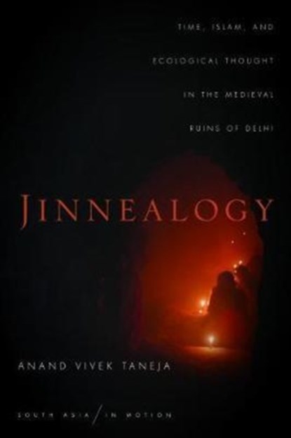 Jinnealogy, Anand Vivek Taneja - Paperback - 9781503603936