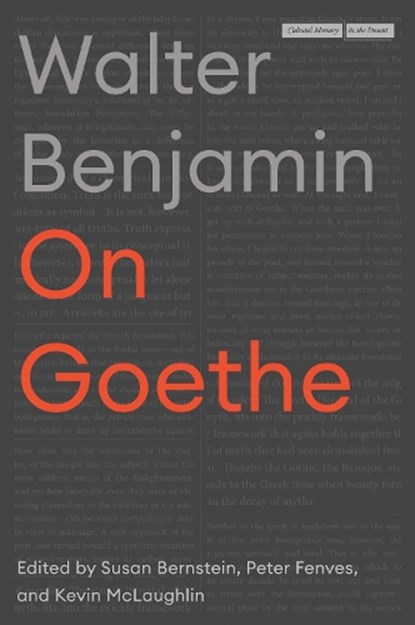 On Goethe, Walter Benjamin - Gebonden - 9781503630963