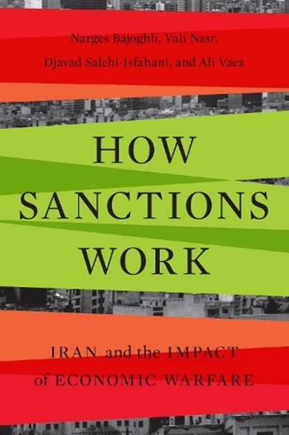 How Sanctions Work, Narges Bajoghli ; Vali Nasr ; Djavad Salehi-Isfahani ; Ali Vaez - Paperback - 9781503637801