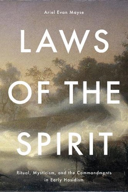 Laws of the Spirit, Ariel Evan Mayse - Gebonden - 9781503638273