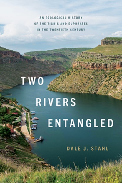 Two Rivers Entangled, Dale J. Stahl - Gebonden - 9781503640177